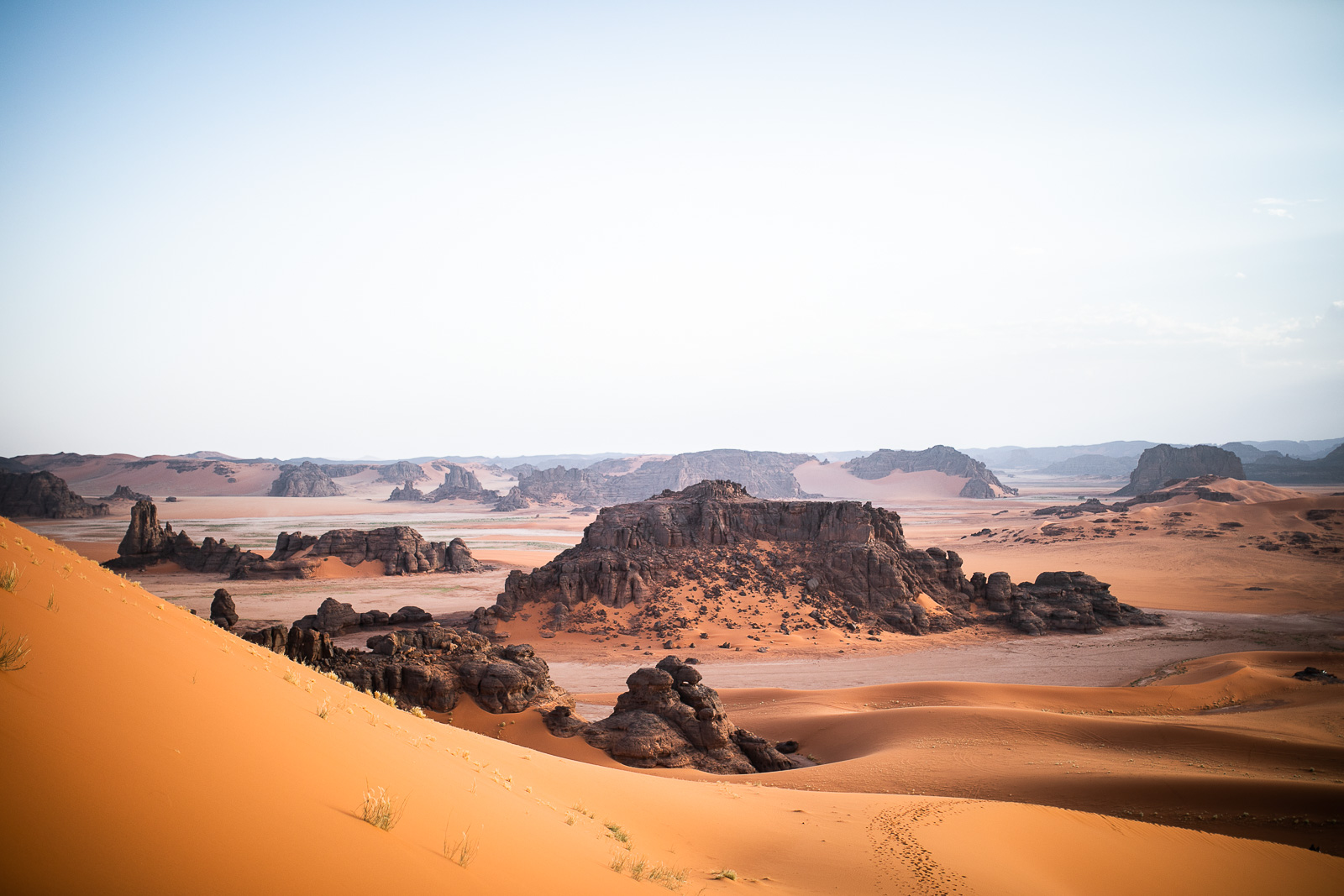 Human & Nature  outoftime 91